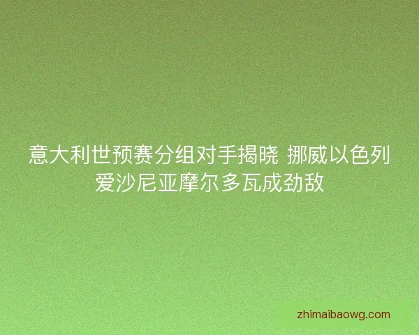 意大利世预赛分组对手揭晓 挪威以色列爱沙尼亚摩尔多瓦成劲敌