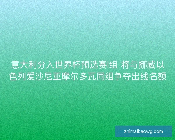 意大利分入世界杯预选赛I组 将与挪威以色列爱沙尼亚摩尔多瓦同组争夺出线名额